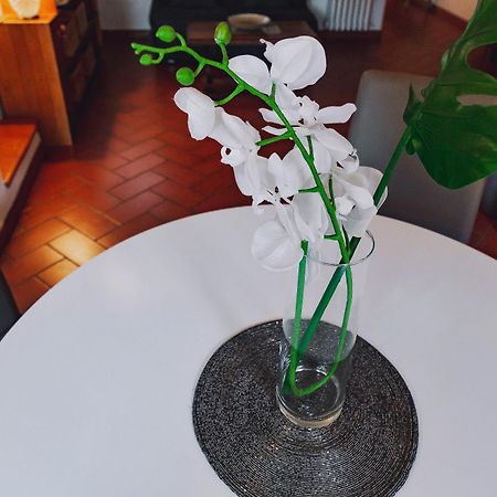 Borgo Pinti 49 Lägenhet Florens Exteriör bild