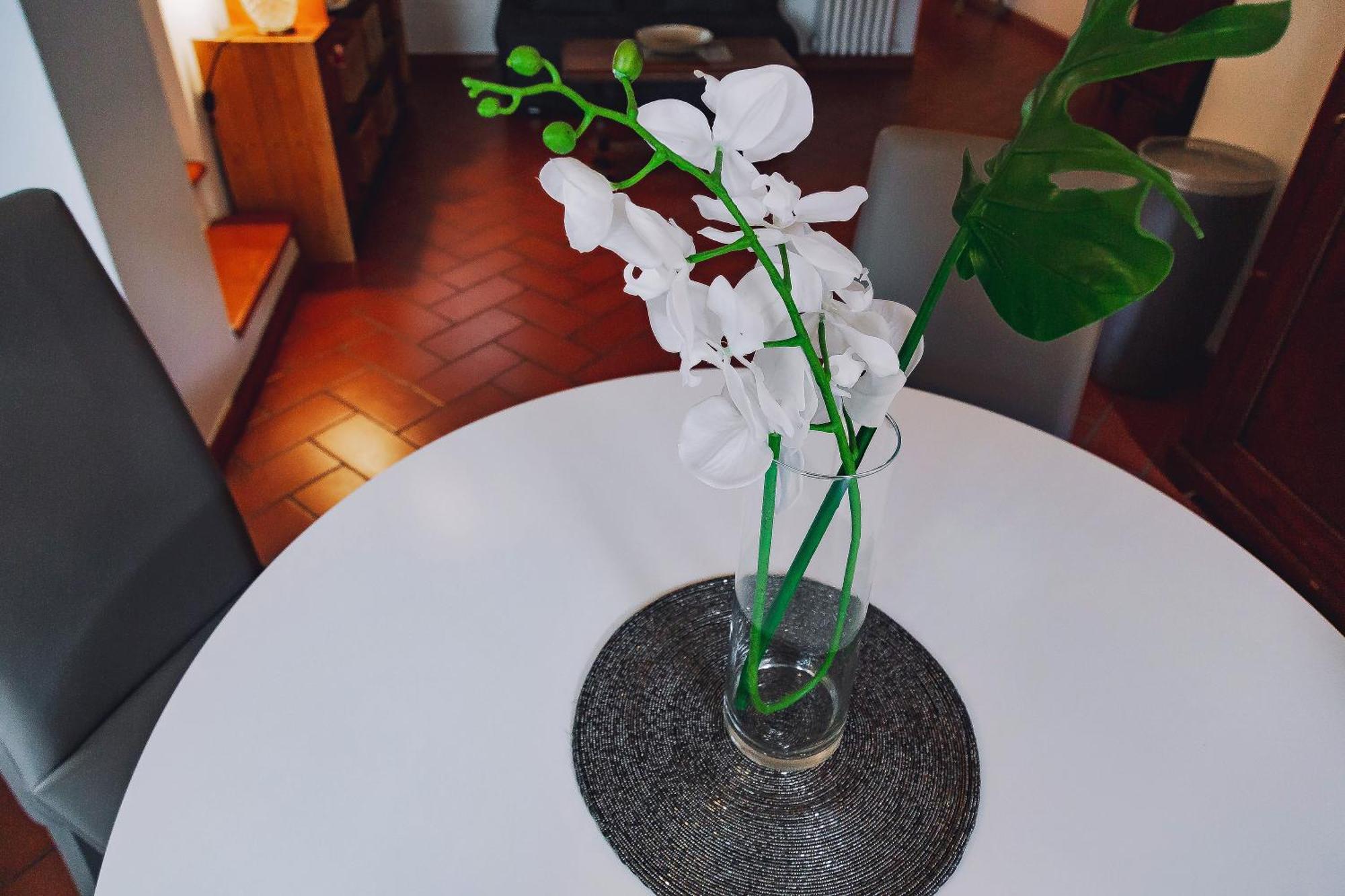 Borgo Pinti 49 Lägenhet Florens Exteriör bild